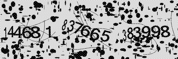 Please enable image downloads in your browser.